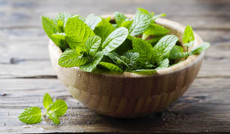 Appliquez ce gommage à la menthe pour apaiser vos pieds