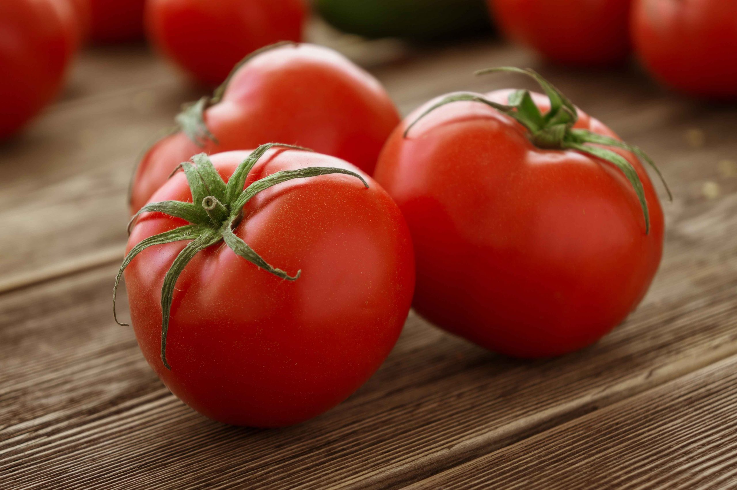 la-tomate