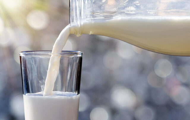 La sélection de probiotiques et de laits de vache