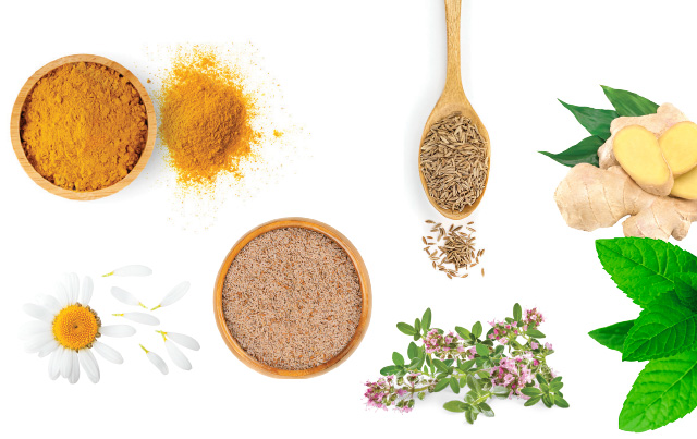 Le Ramadan SOUTENIR SON CORPS ET L'ESPRIT AVEC LES PLANTES